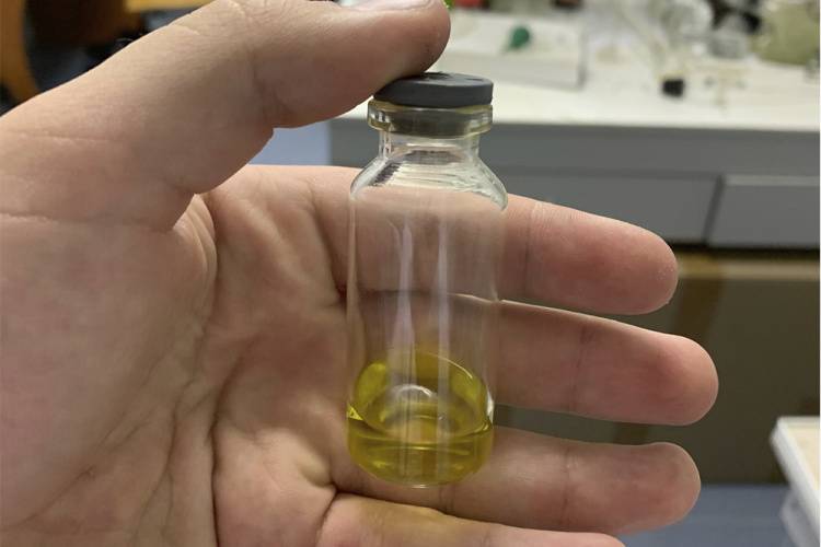 The NRU “BelSU” scientists have developed the latest technology for producing phytochemical compounds from common St John's wort